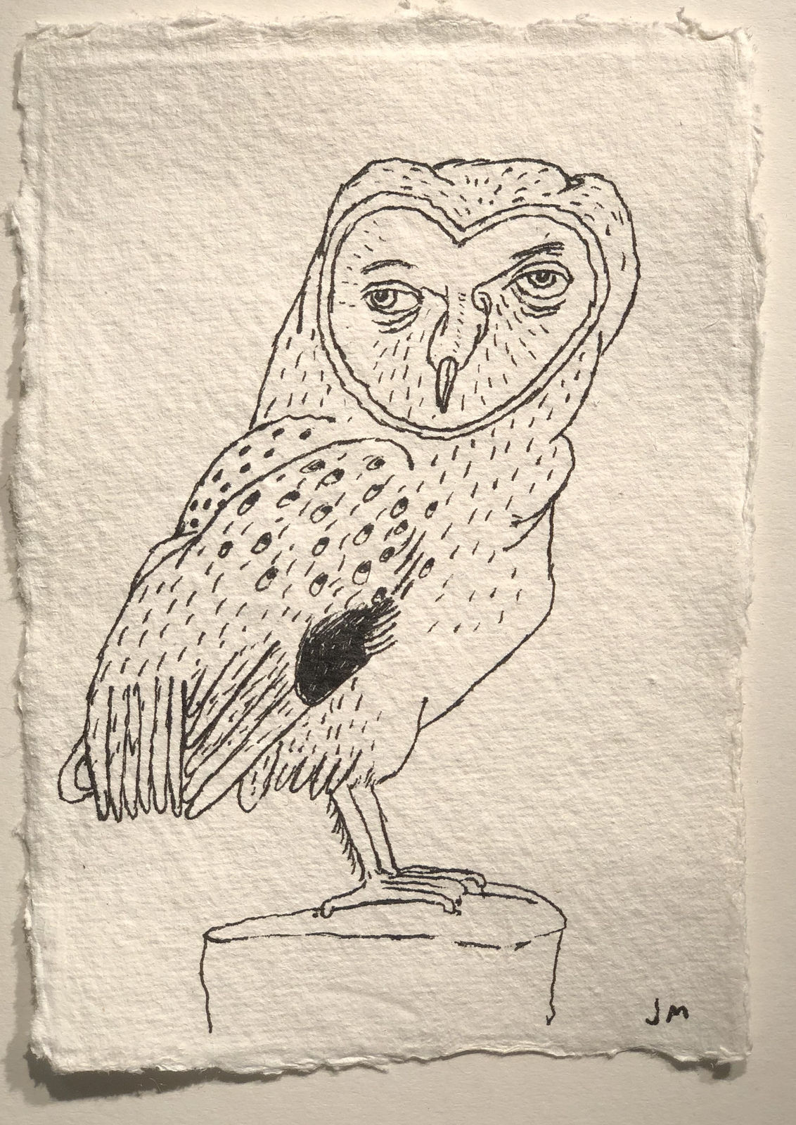 Jim Moir, Owl 4, 2018