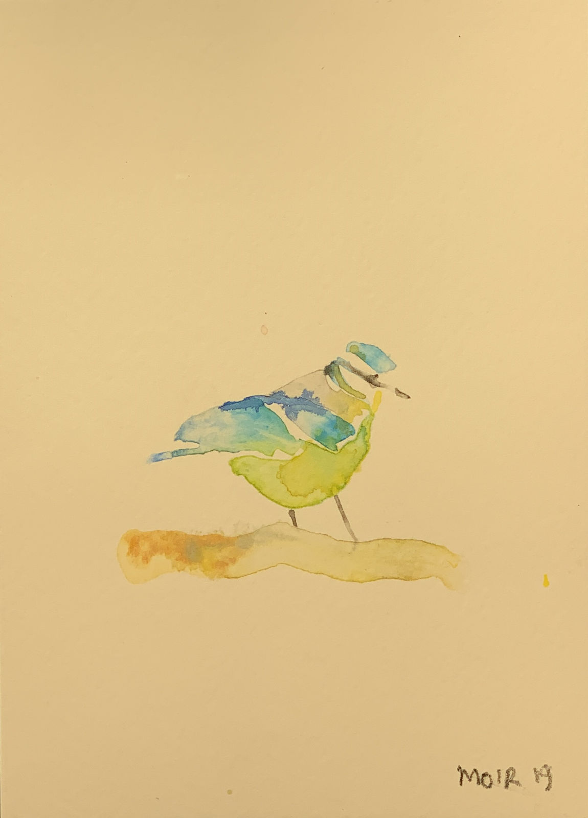 Jim Moir, Bird, 2019