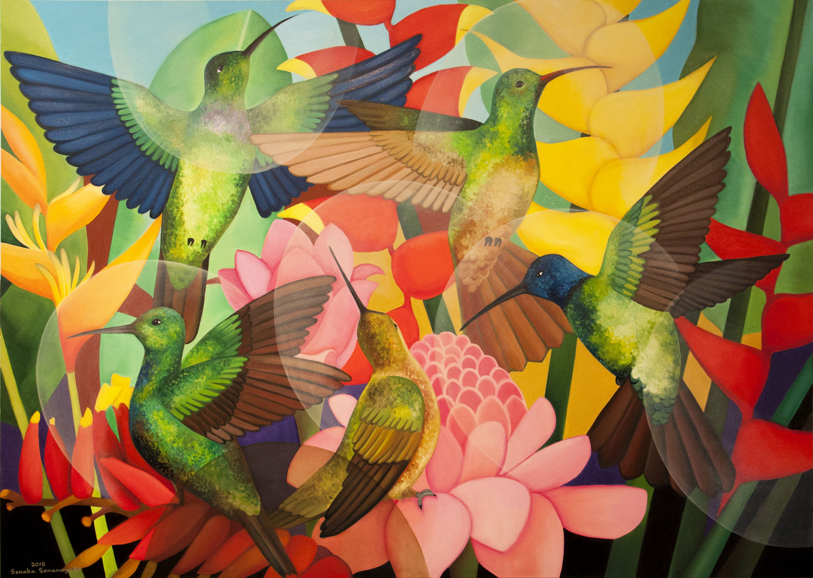 Senaka Senanayake, Hummingbirds, 2018