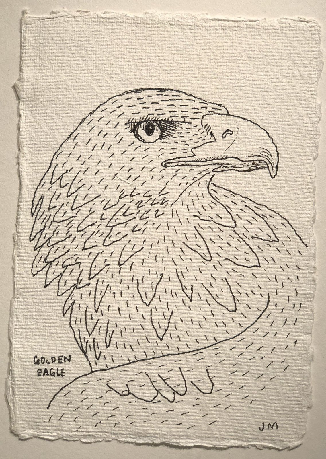 Jim Moir, Golden Eagle, 2018