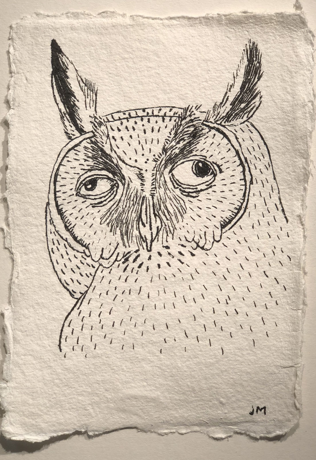Jim Moir, Owl 1, 2018