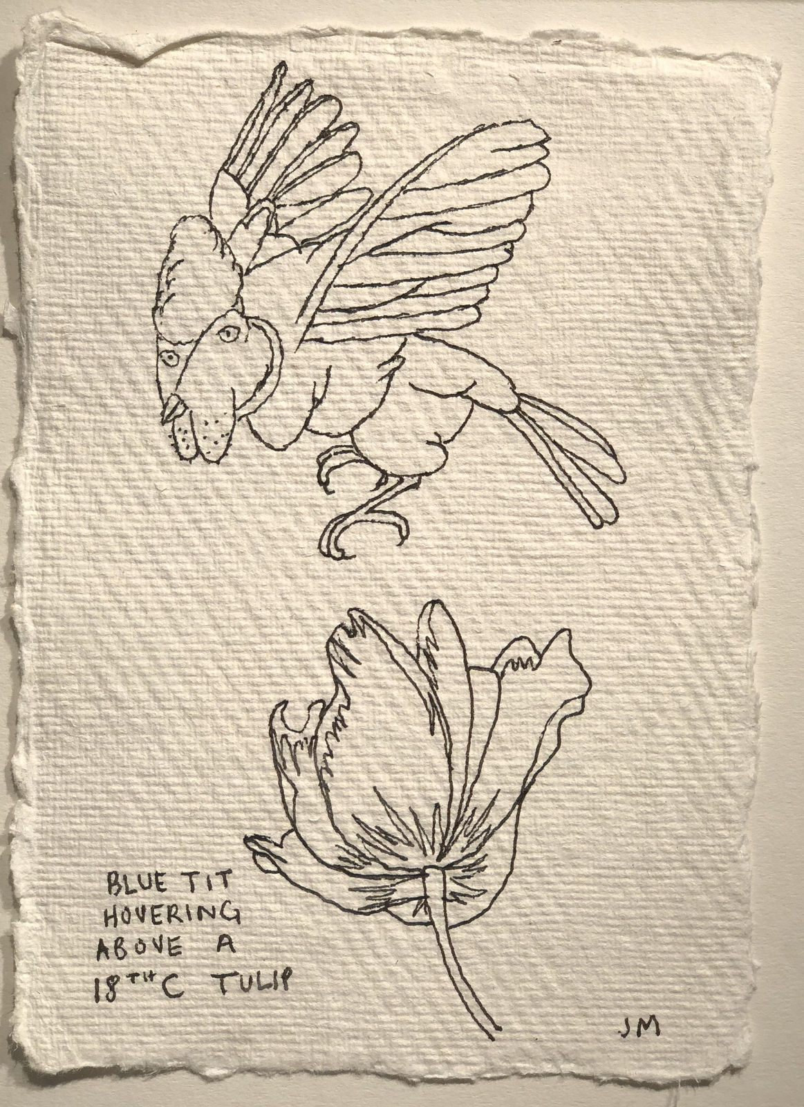 Jim Moir, Blue Tit and Tulip, 2018