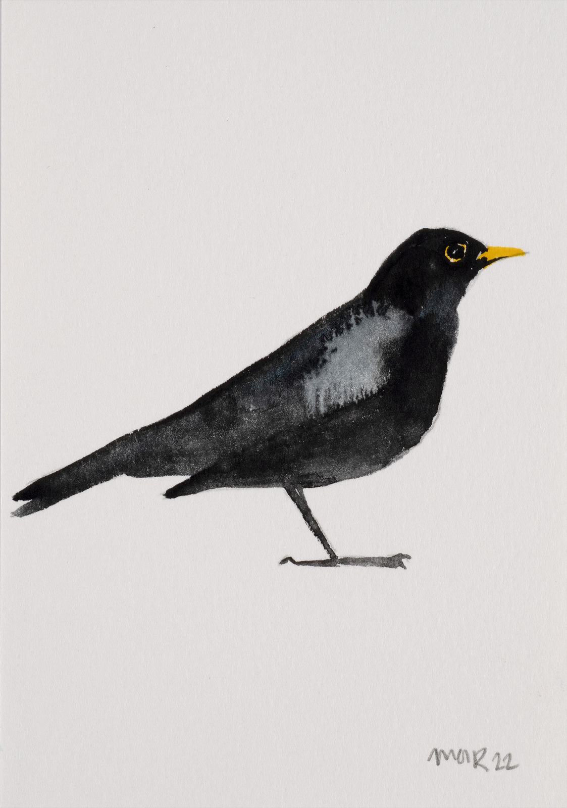 Jim Moir, Blackbird 17, 2022