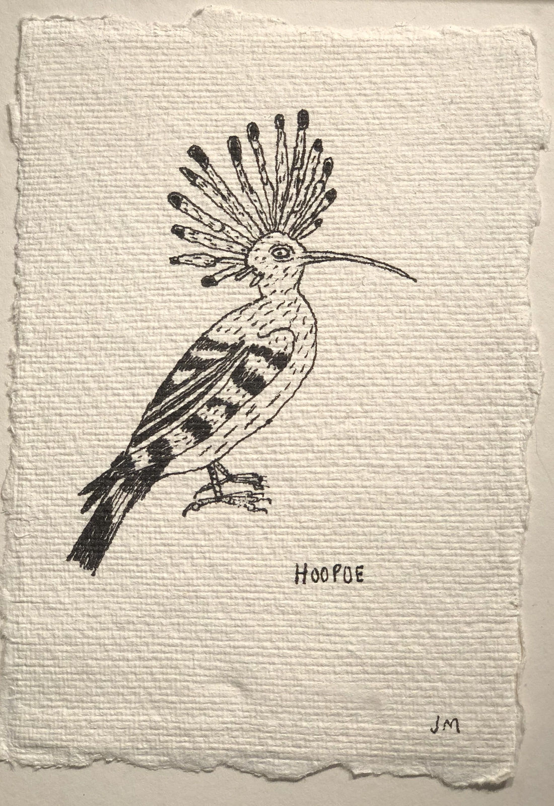 Jim Moir, Hoopoe, 2018
