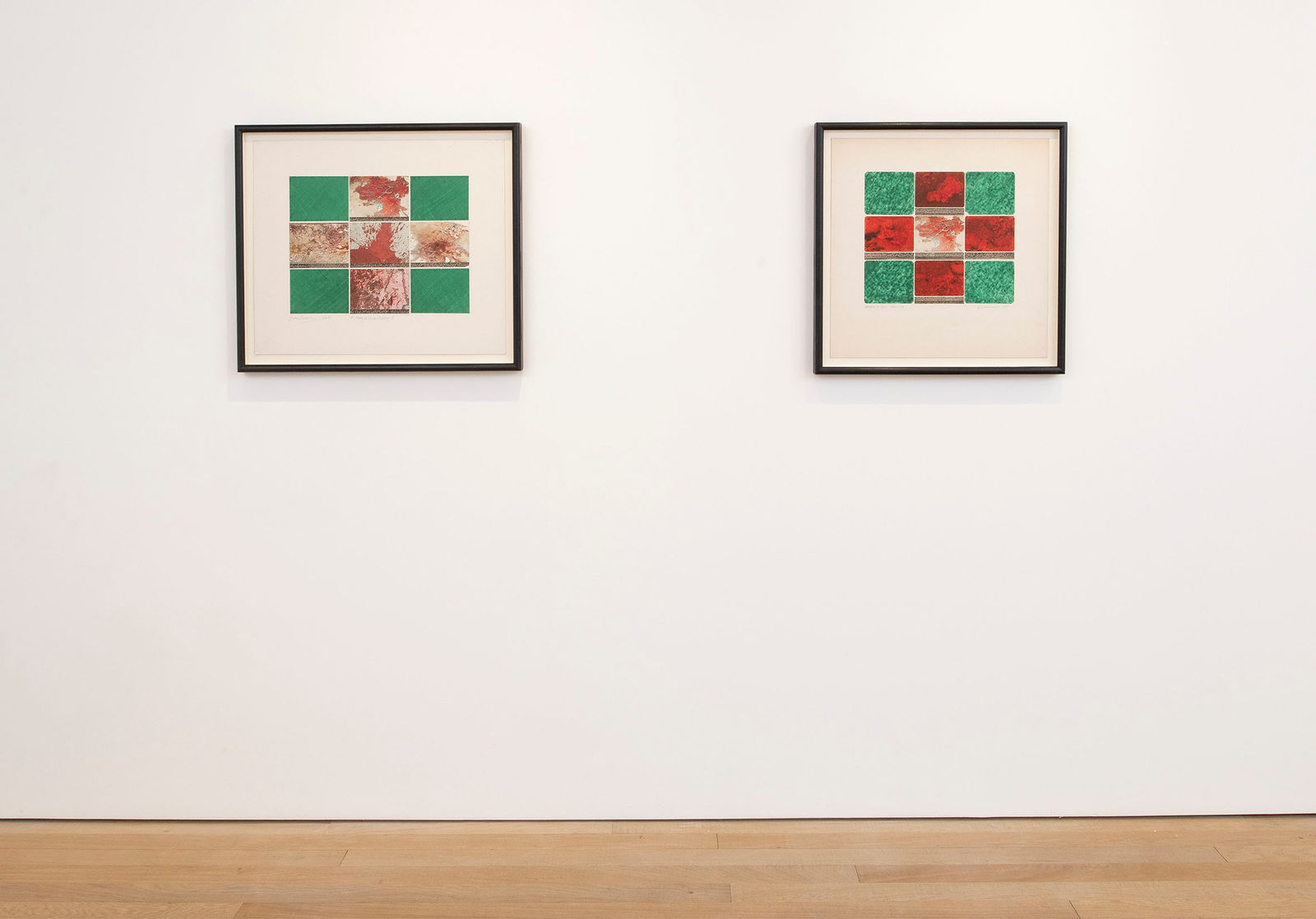 Rasheed Araeen, Green and Red Painting , 1995
