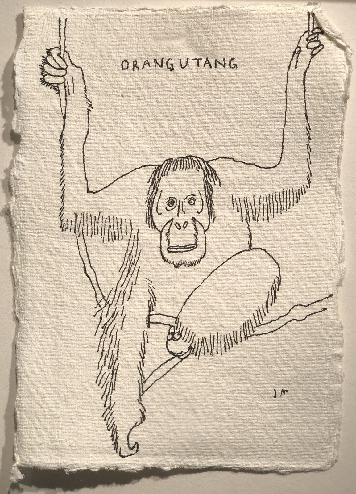 Jim Moir, Orangutan 1, 2018