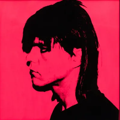 Andy Warhol, Stephen Sprouse F.S. III C.72 , ca. 1984