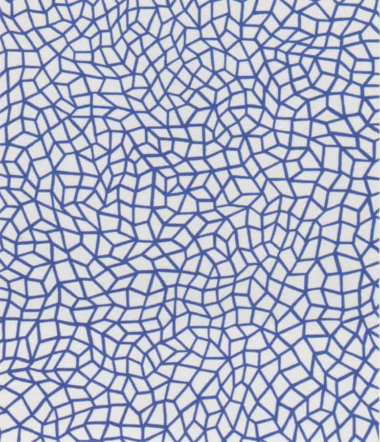 Yayoi Kusama, Infinity Nets (26)