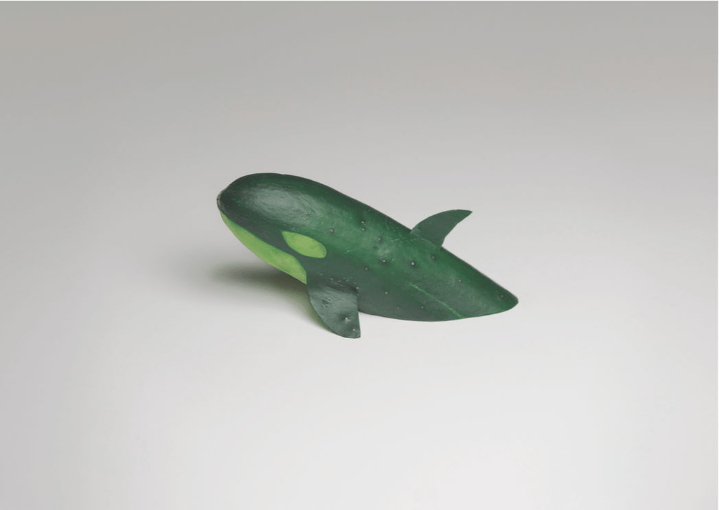 Brock Davis, Cucumber Orca, 2012