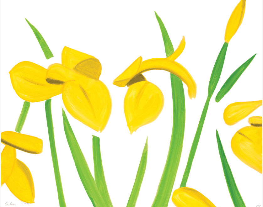 Alex Katz, Yellow Flags on White, 2023