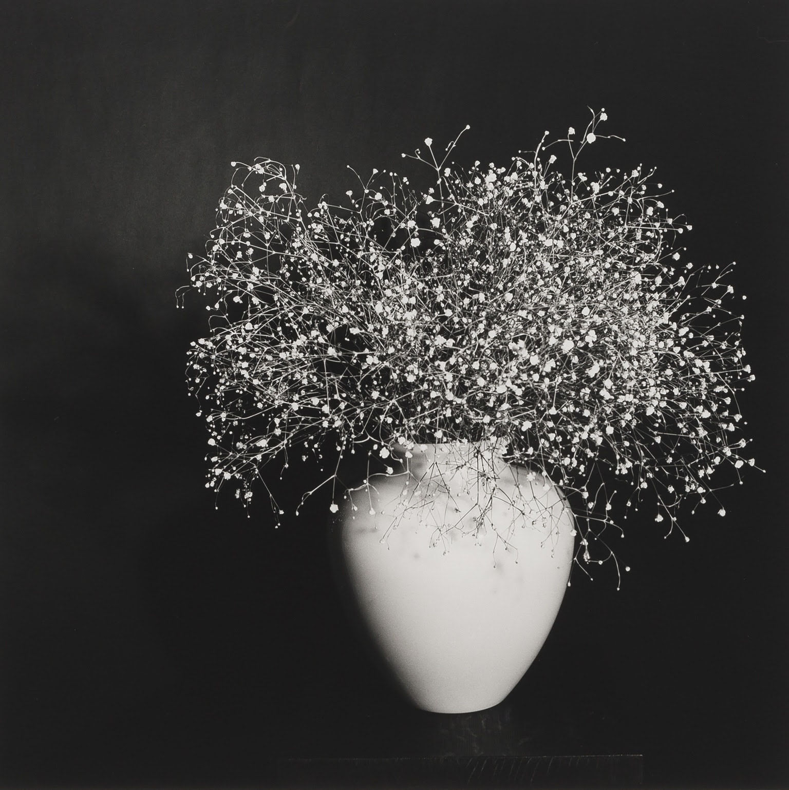 Robert Mapplethorpe, Baby's Breath, 1978