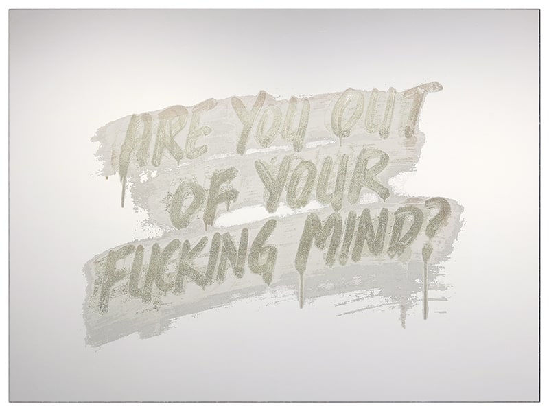 Mel Bochner, Are You Out Of Your Fucking Mind?, 2018