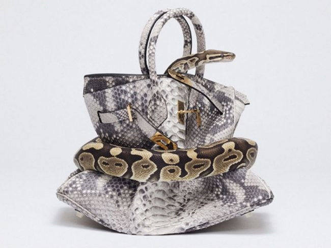 Tyler Shields, Python Birkin, 2012