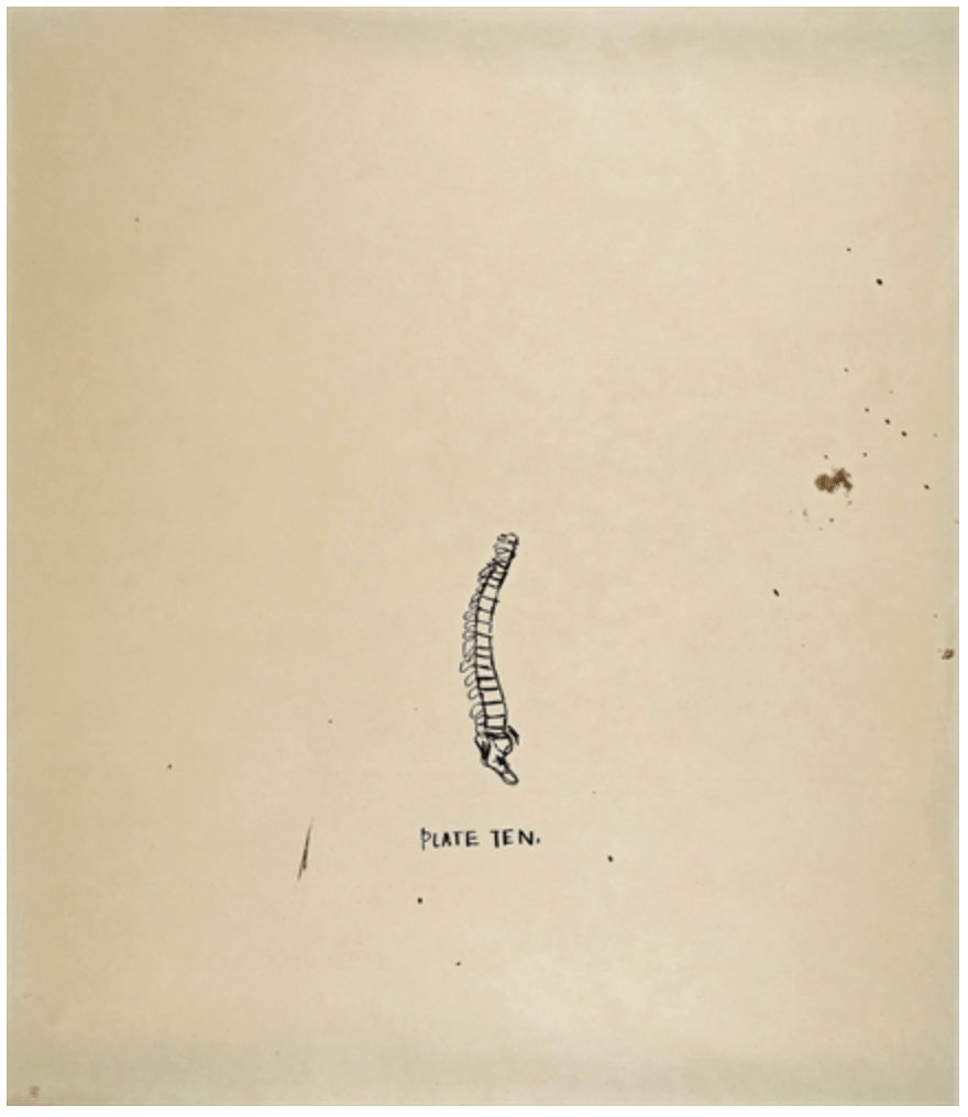 Jean-Michel Basquiat, Untitled (from Leonardo), 1983