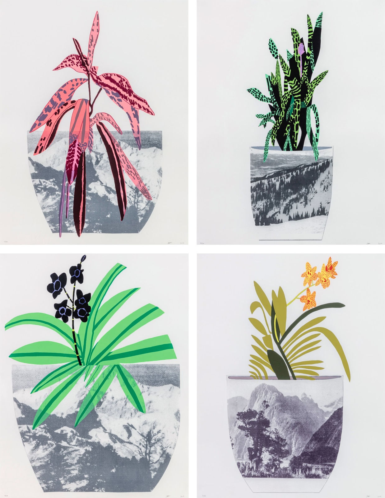 Jonas Wood, Untitled, 2014