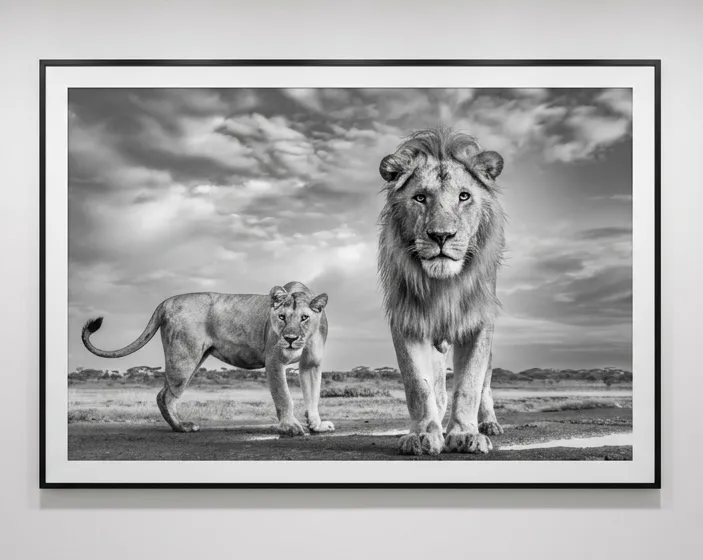 James Lewin, Our Kingdom, 2023