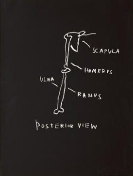Jean-Michel Basquiat, Posterior View, from Anatomy , 1982