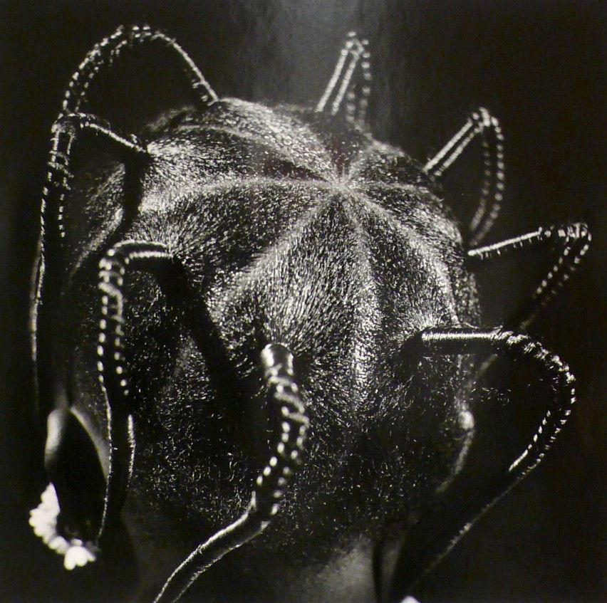 J.D. OKHAI OJEIKERE, Ito Lozi, 1968