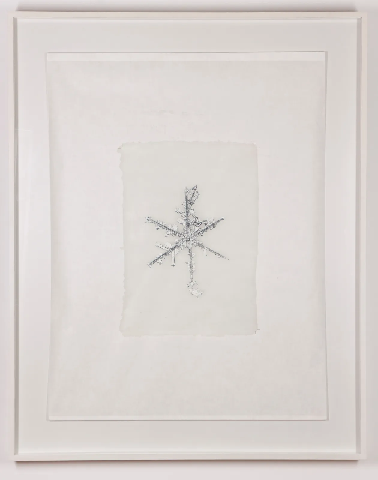 DOUG AND MIKE STARN, Snow blanket #8_247.1, 2006