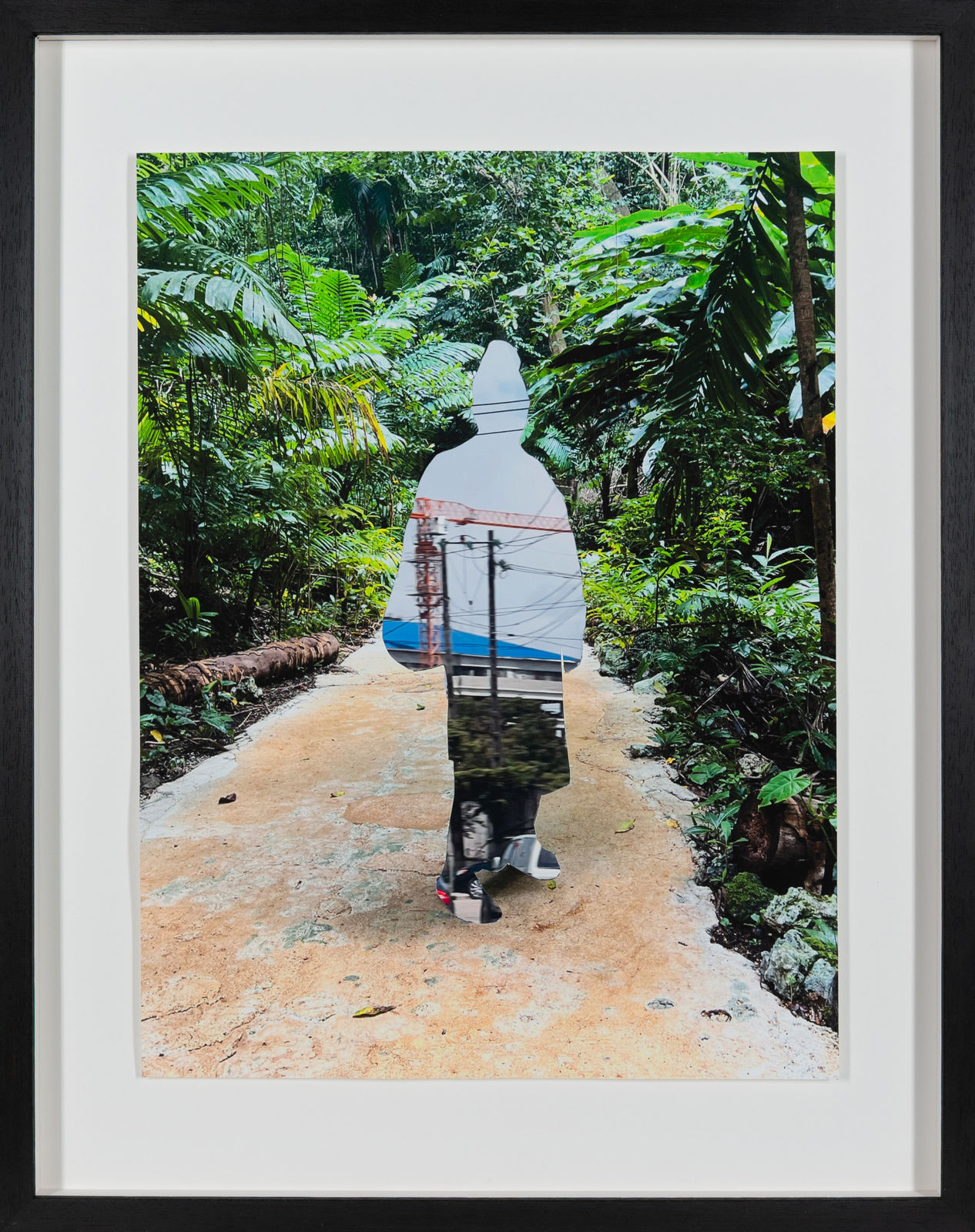 SHARON WALTERS, Longing and Belonging I, 2024