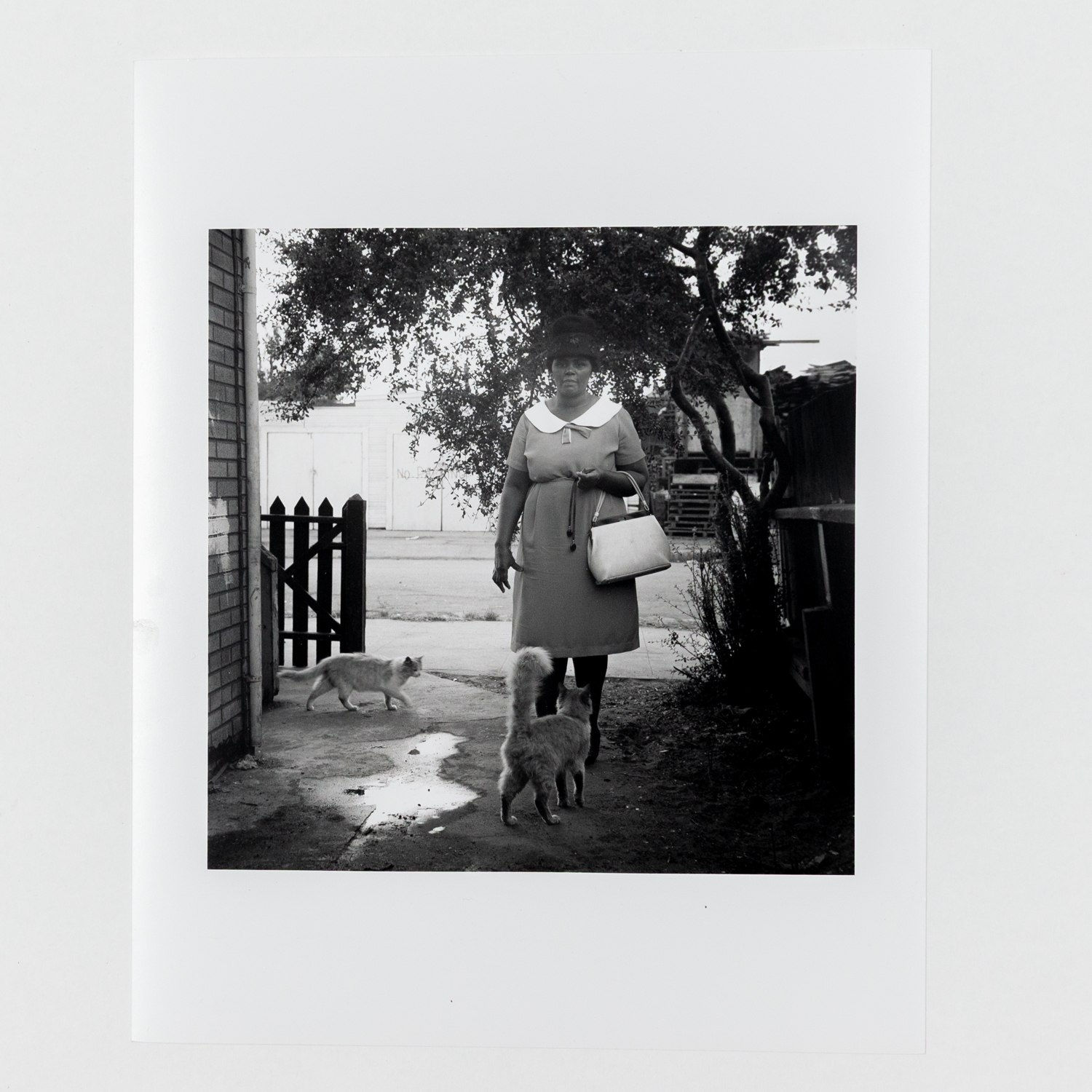 JOANNE LEONARD, Woman with Cats, 1960s