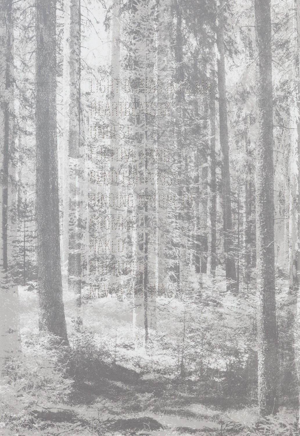 Andrea Geyer, Borderlands (Light Braids Into Air), 2022