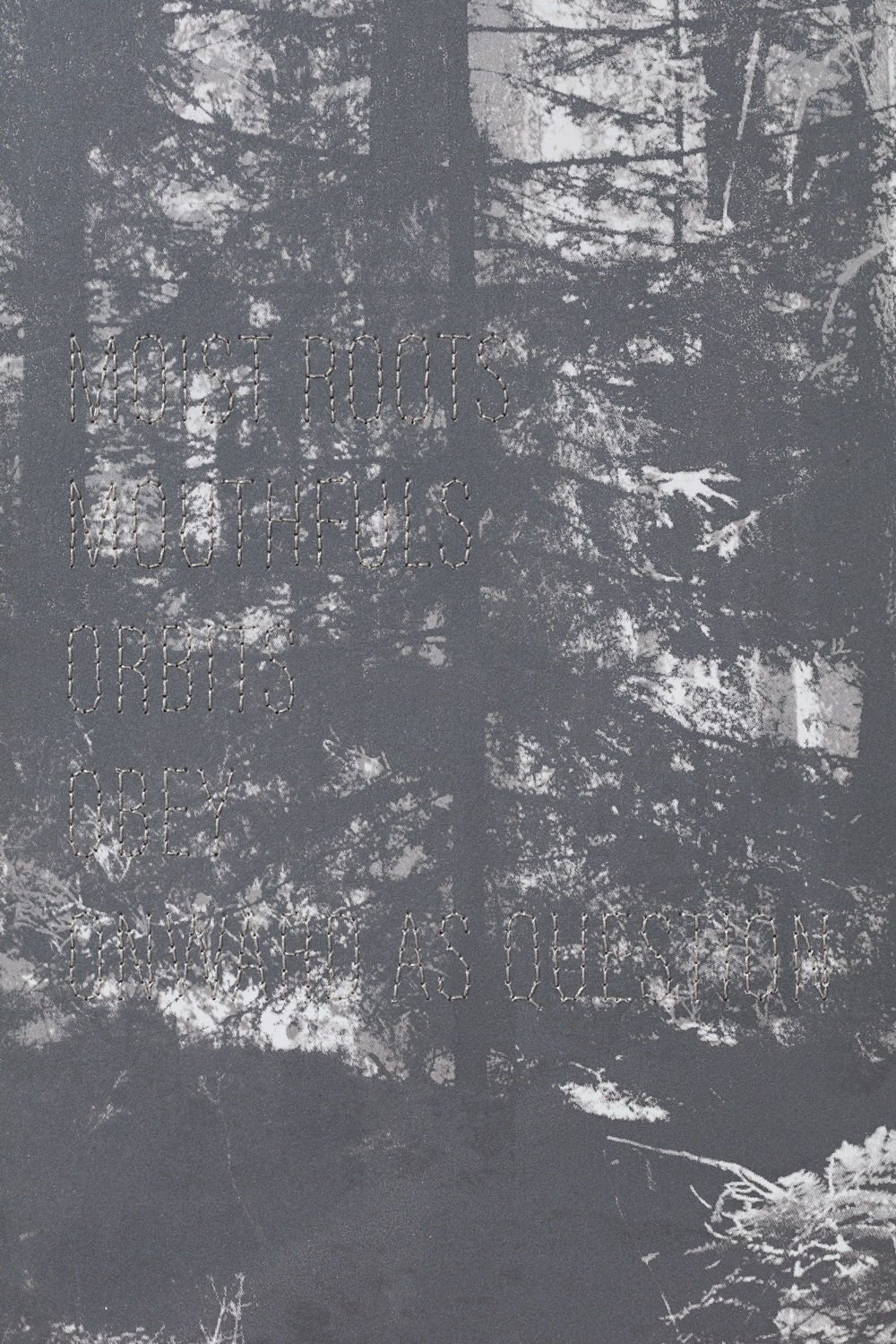 Andrea Geyer Borderlands (Moist Roots), 2022