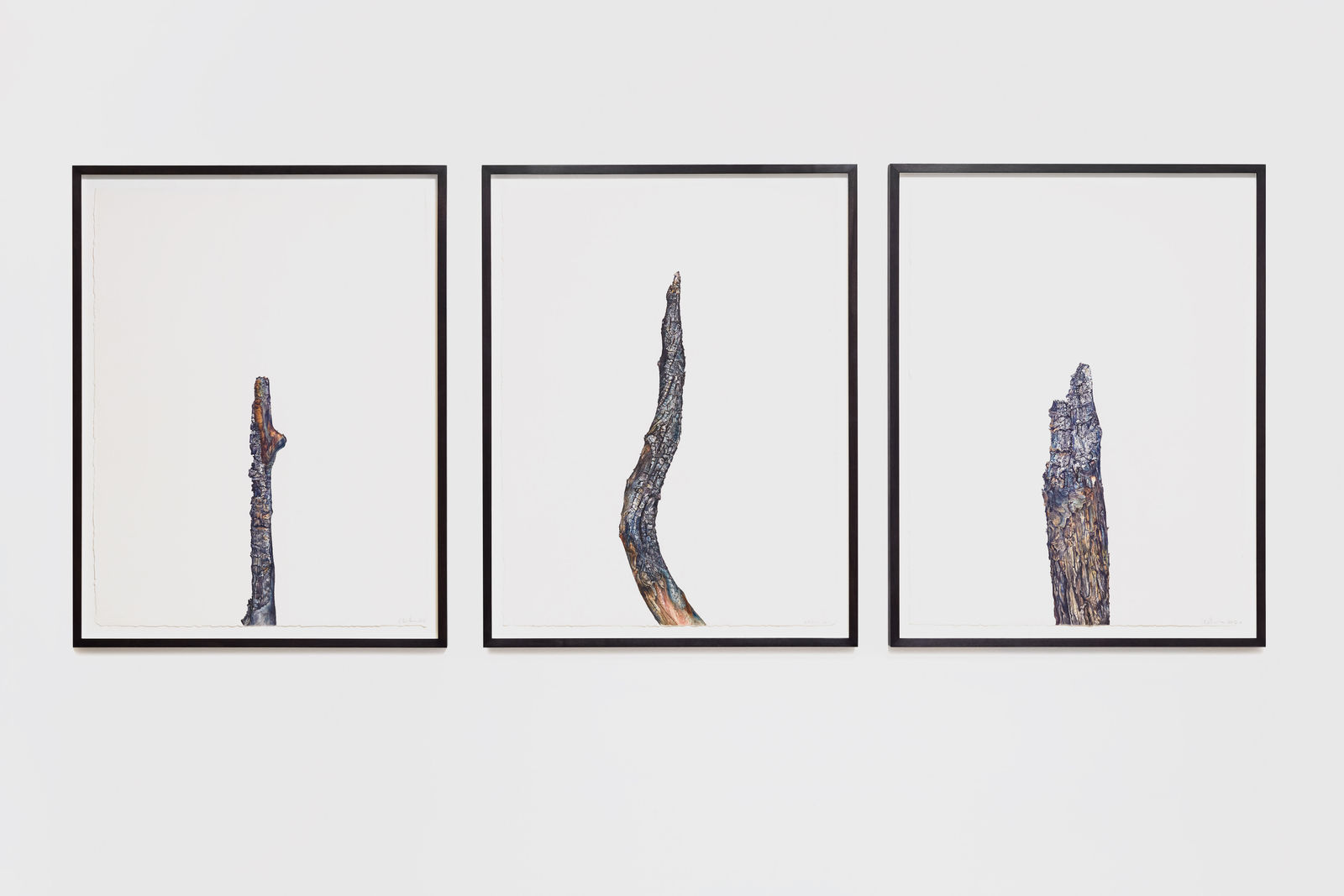 Jane Wilbraham, Torched, 2012