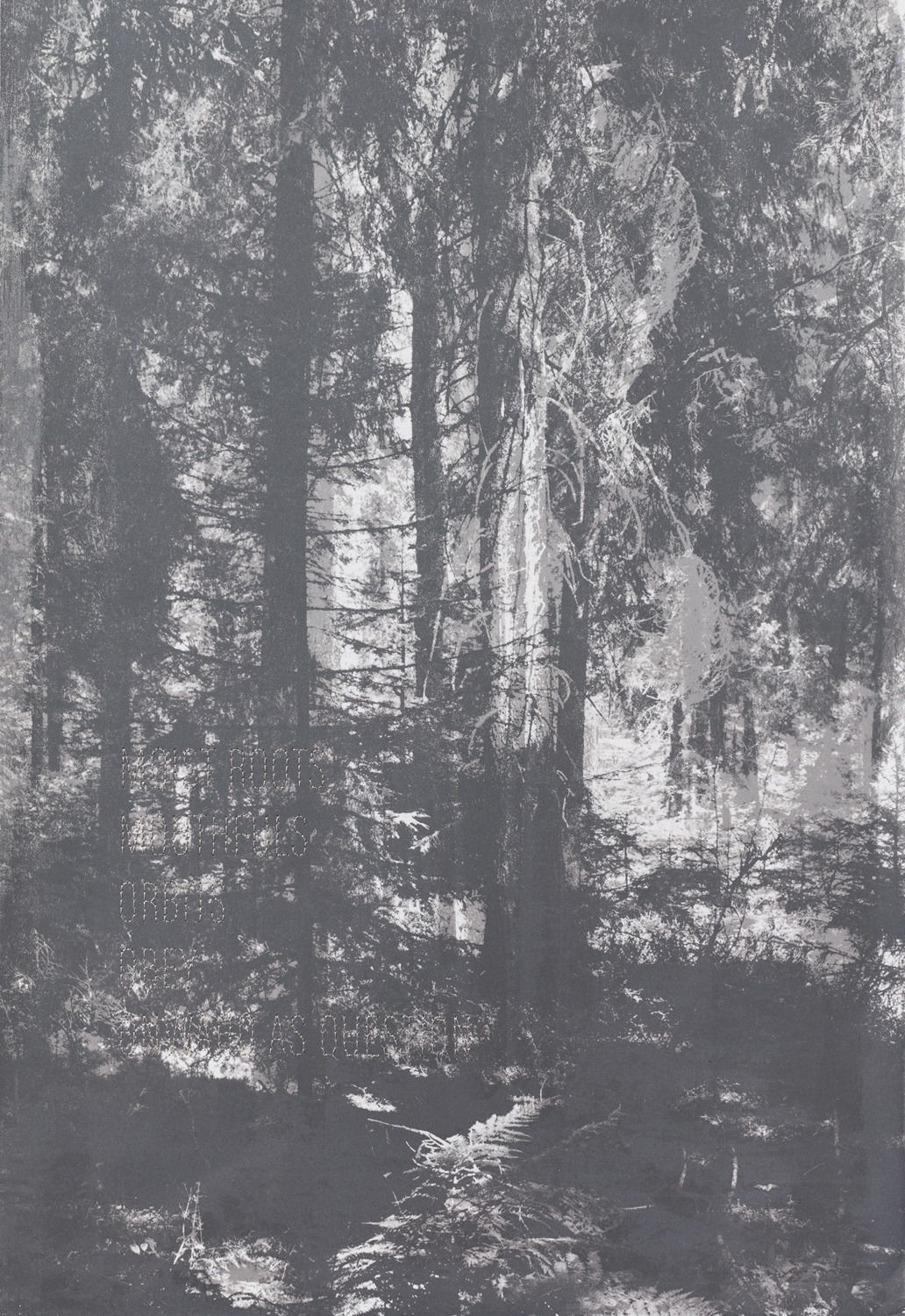 Andrea Geyer Borderlands (Moist Roots), 2022