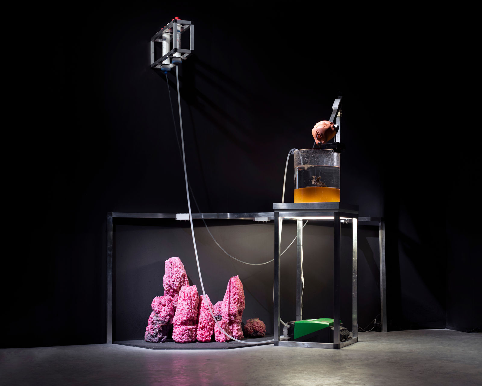 Haseeb Ahmed, Fountain of the Amazons, 2022