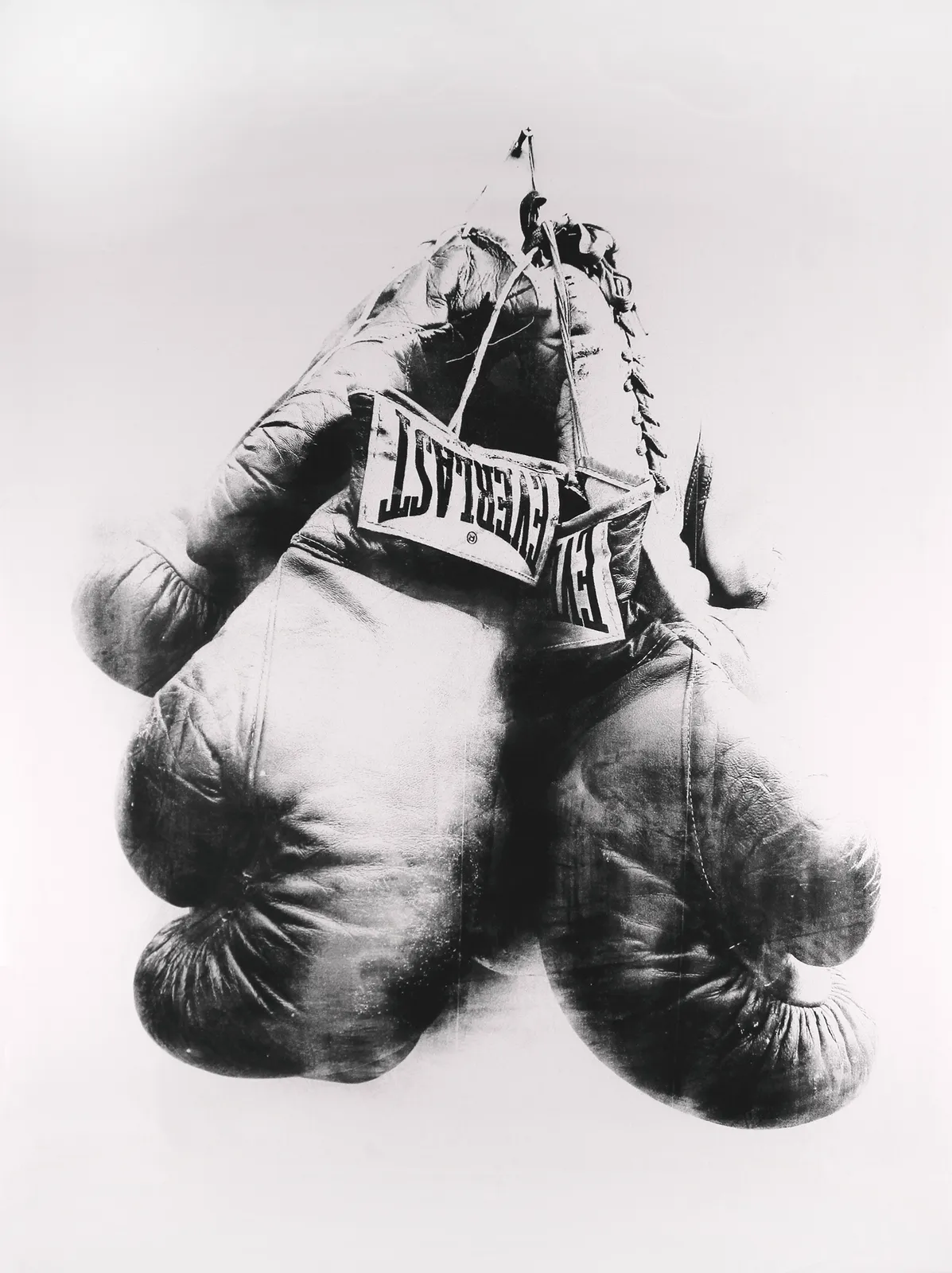TR Ericsson, Boxing Gloves (Everlast), 2019