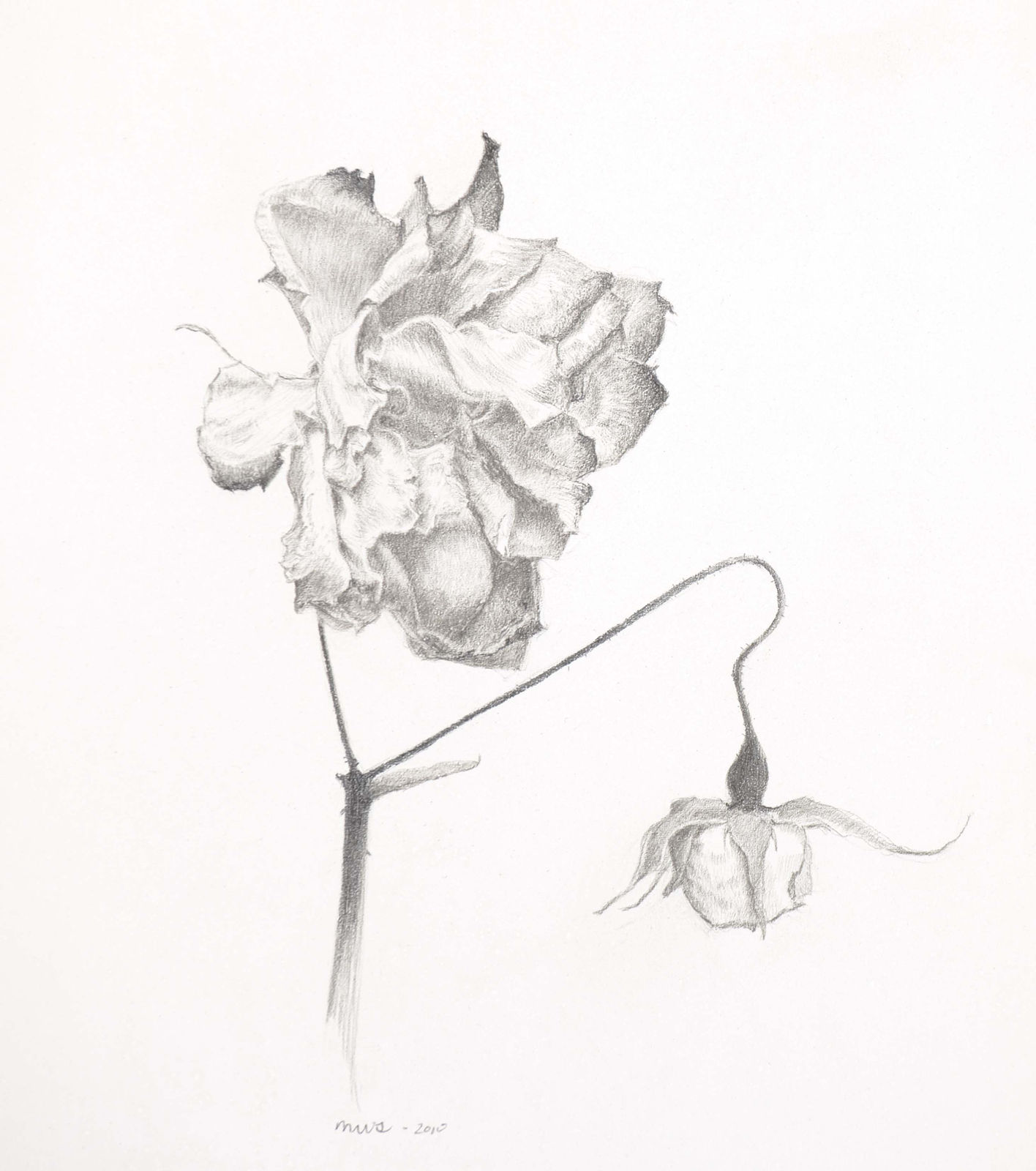 Marjorie Williams-Smith, Old and New , 2010