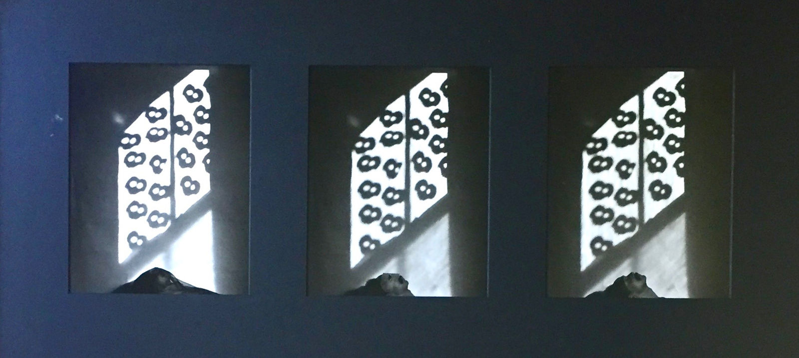 Adger Cowans, Self Portrait