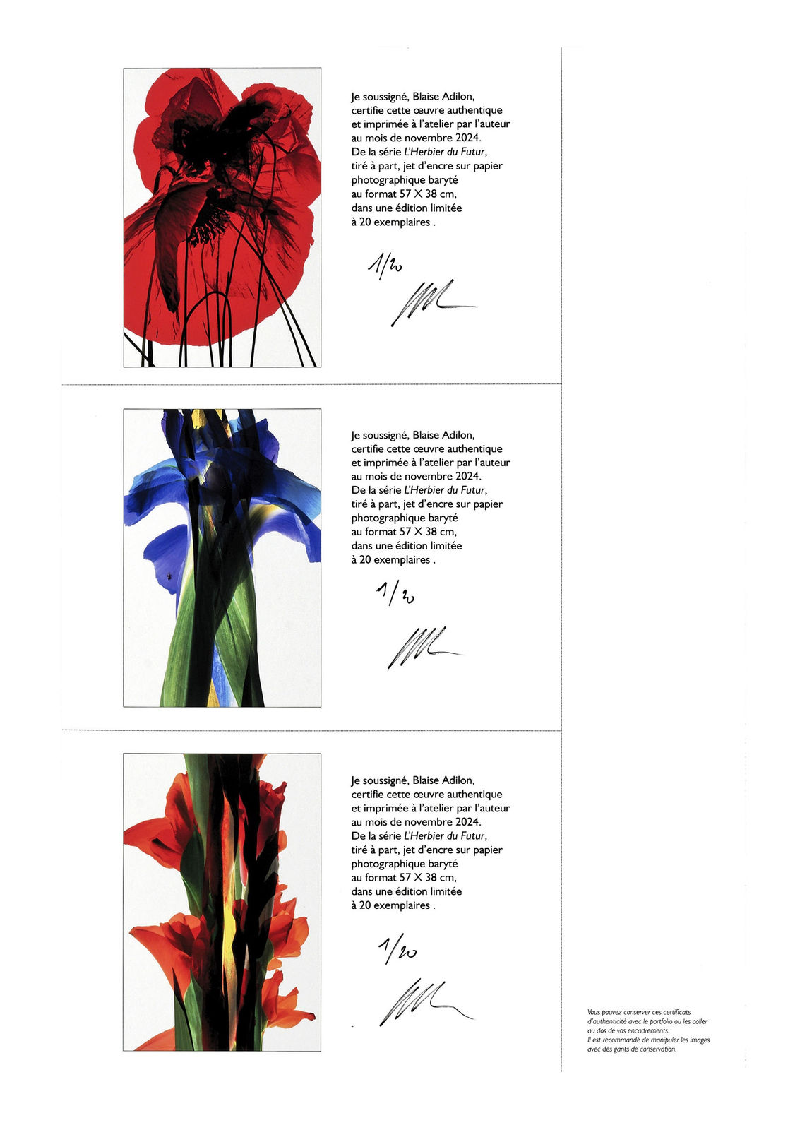 Blaise Adilon, Portfolio l'herbier du futur, 2024