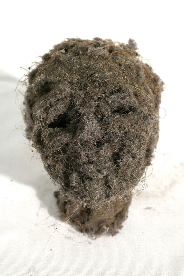 Lionel Sabatté, Smile in dust #3 du 10092017, 2017