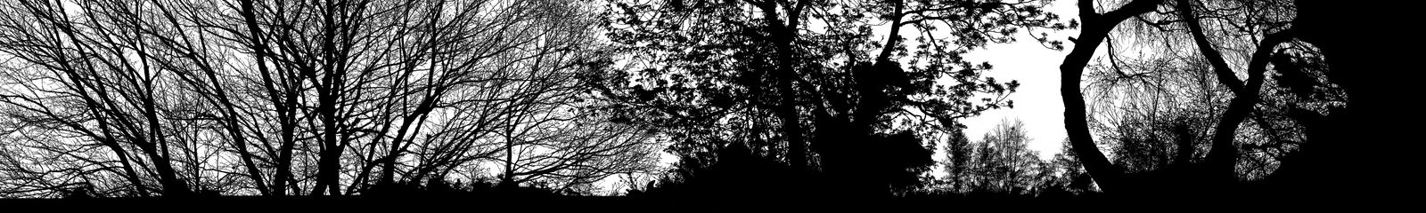 Blaise Adilon, The Road 42, 2013-2017