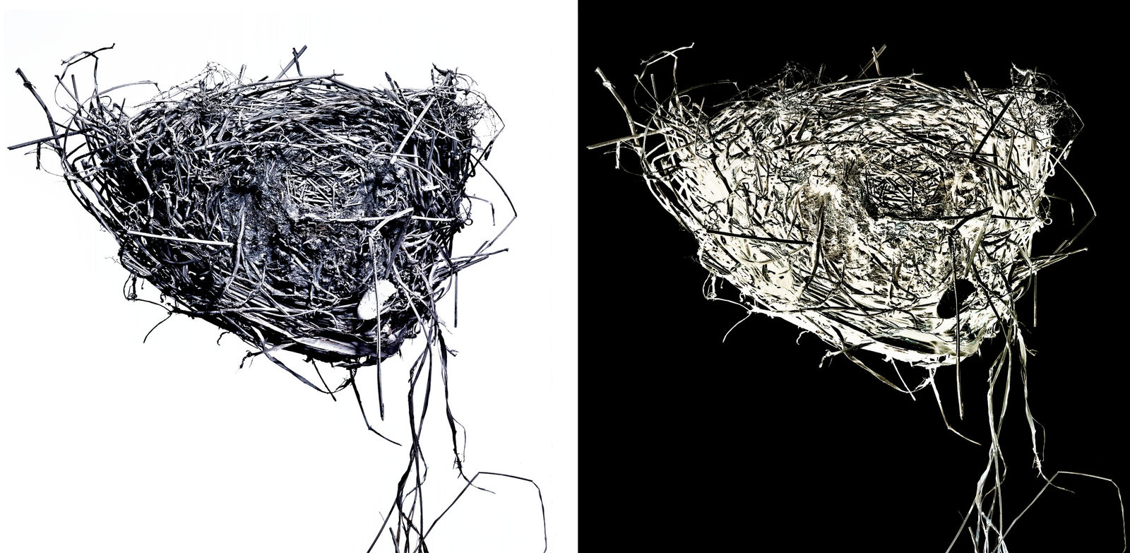 Blaise Adilon, Impermanence #1 - N°1, 2017