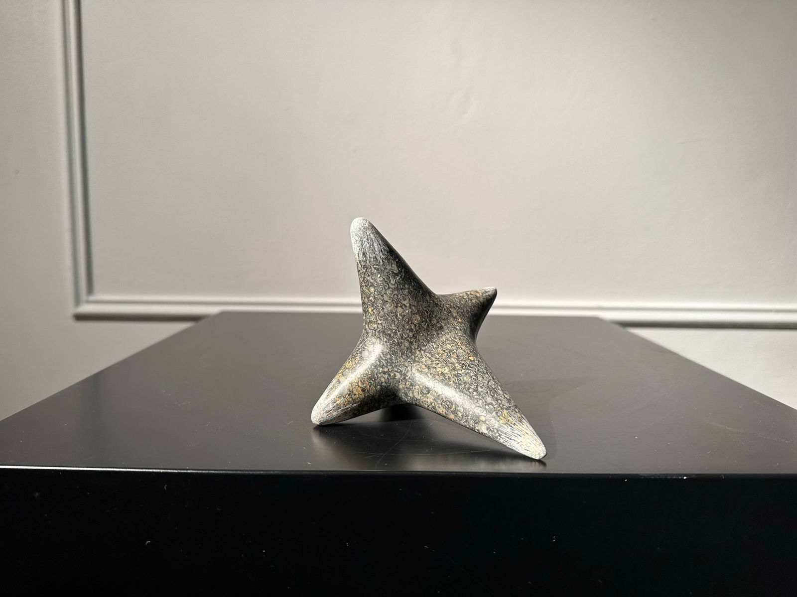 Guy Stevens, Purbeck Star Ship, 2023