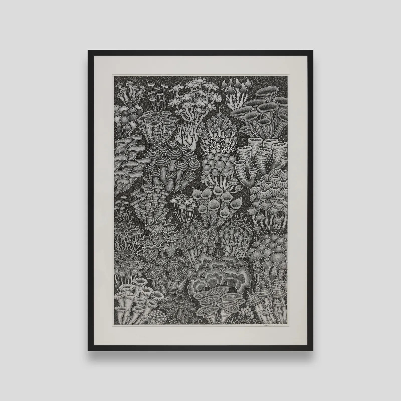 Maima Tani / マイマ・タニ, ファンタジーマッシュルームズ2, 2022