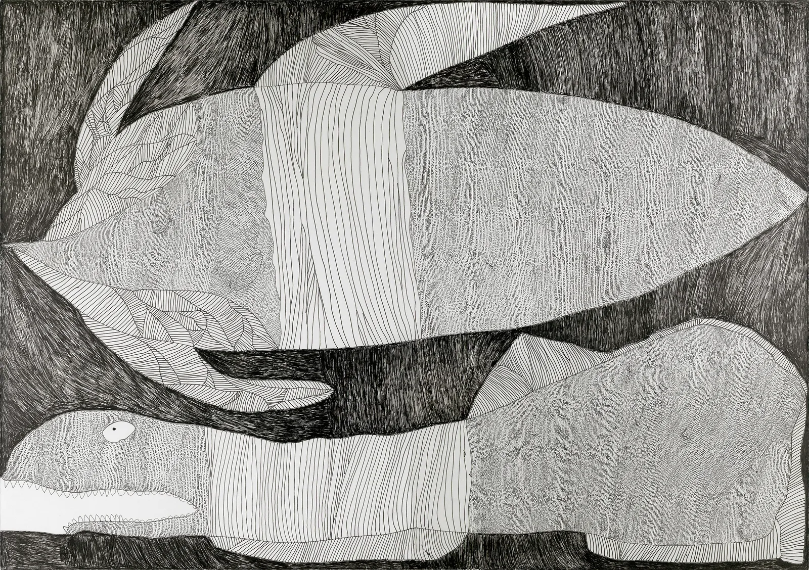 Shunichi Iwase / 岩瀬 俊一, くじらとサメ, 2017