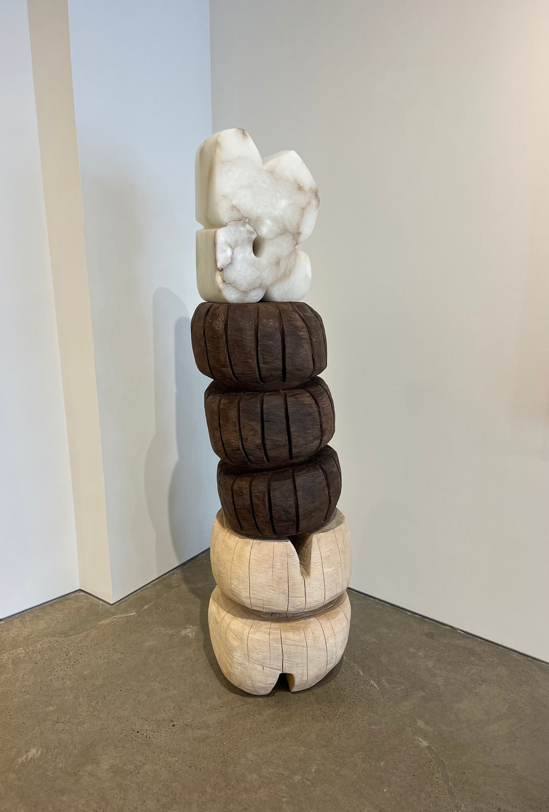 Nadia Yaron, White campion, 2024