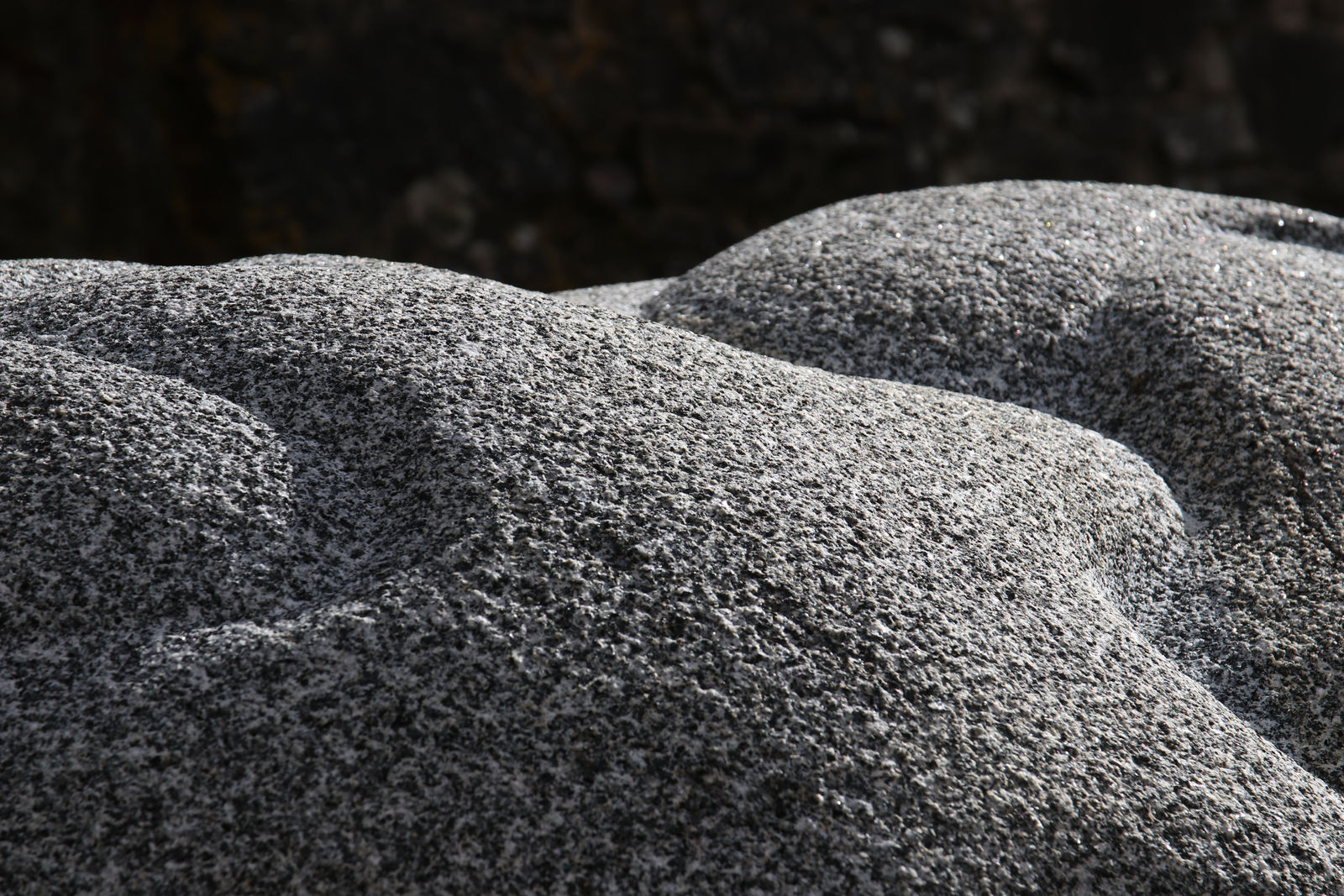Peter Randall-Page, Where it Touches, 2018