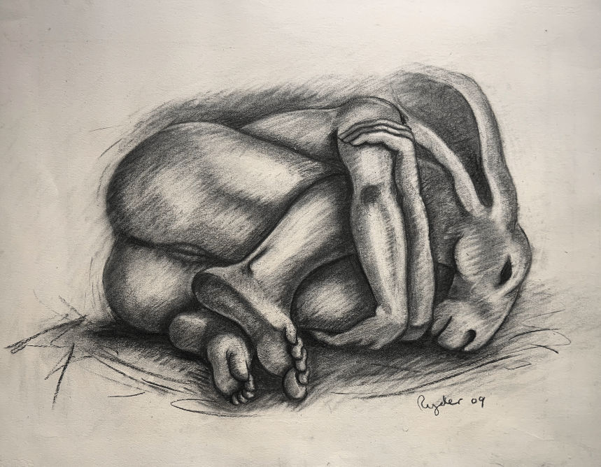Sophie Ryder, Curled Up, 2002