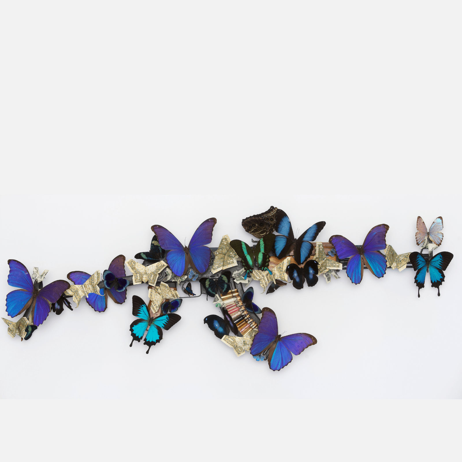 Bran, Morpho Origami , 2025