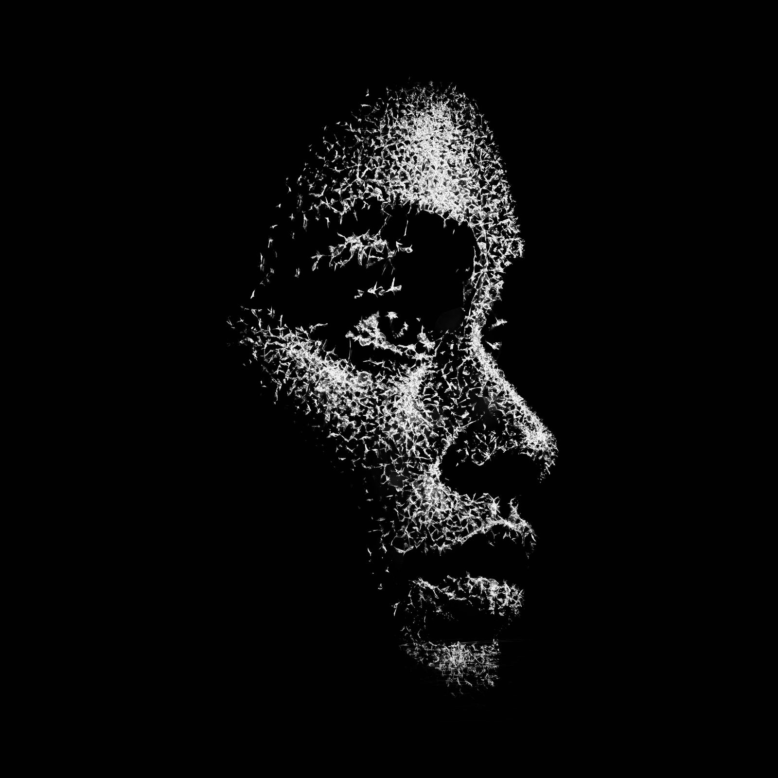 Simon Berger, Untitled, 2025