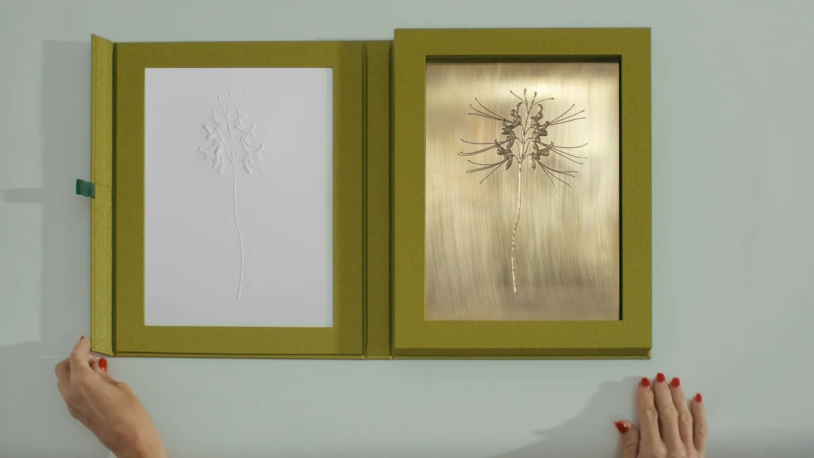 Mia Forrest, Orchids, 2026