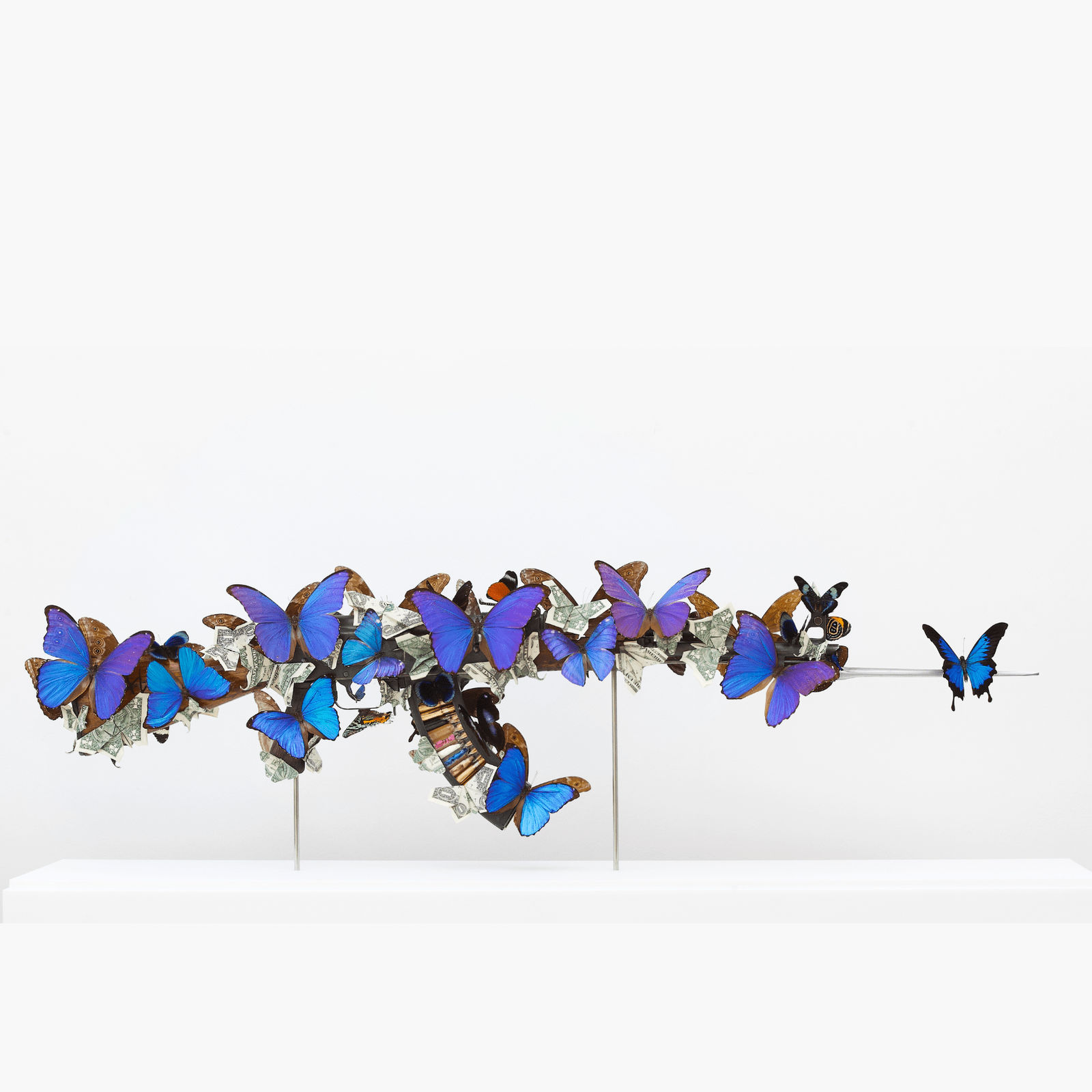 Bran, Morpho Origami Classic, 2025
