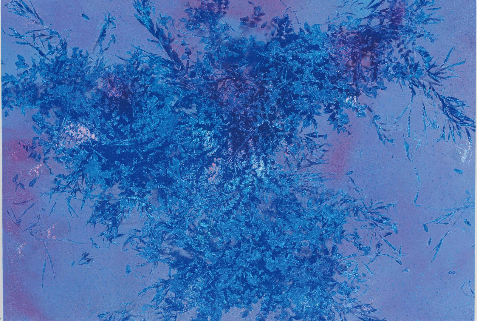 Pan Jian, A-20190109, 2019