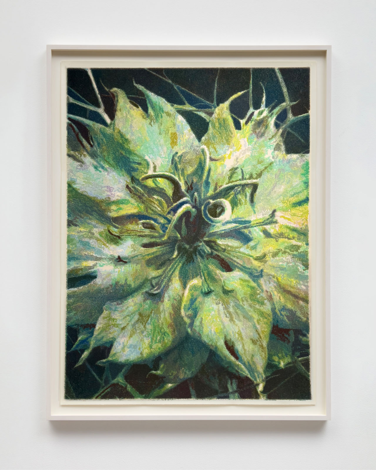 Sarah Meyohas, Untitled, 2025