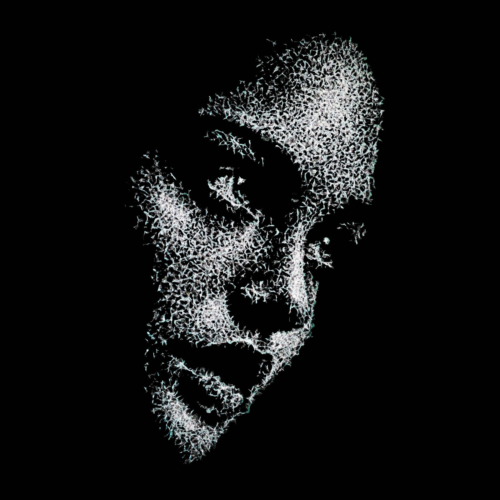 Simon Berger, Untitled, 2026